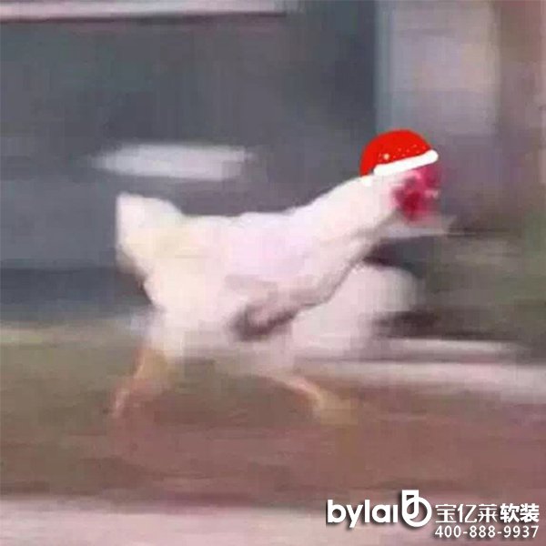 |Rڼ | (jin)sůıڼ+ħ^һϲg